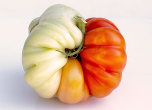 What’s wrong with this tomato?