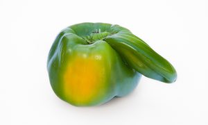 Pepper with nose: delicious.