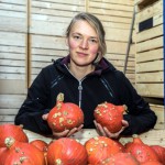 ‘Verspilling pompoenen na hagelschade is doodzonde’