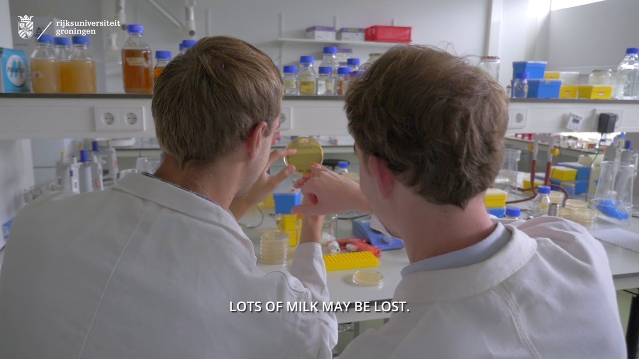 Studenten ontwikkelen detectiemechanisme tegen melkverspilling