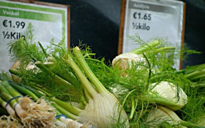 Veel venkel voldoet door hitte niet aan schoonheidsideaal