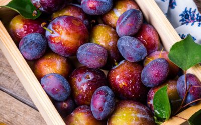 Oplossing tegen voedselverspilling in fruitcontainers wint Startup Funding Event 2019