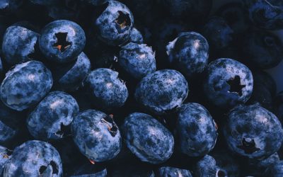 Internet of Things gebruiken om voedselverspilling in de vers-keten tegen te gaan