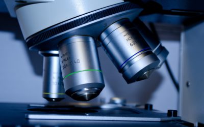 Bioprotectie bij verminderen voedselverspilling en plastic gebruik