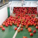 14-17 October 2014 | Postharvest Technology course