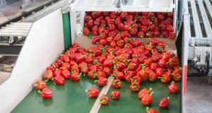 14-17 October 2014 | Postharvest Technology course