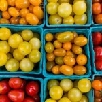 Belgische documentaire: Voedseldemocratie is het duurzame antwoord