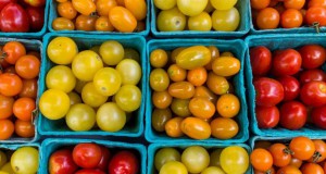 Belgische documentaire: Voedseldemocratie is het duurzame antwoord