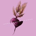 “Verspilling is de catwalk van de voedselindustrie”