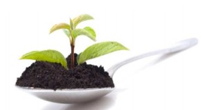 Eurest restaurant and food campaign