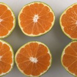 Tesco gaat voedselverspilling tegen met groenere mandarijnen